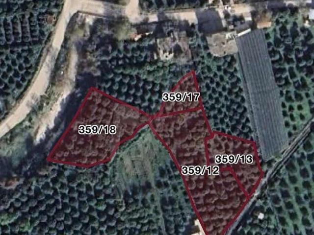 MEGA EMLAK FİNİKE'DEN SATILIK PORTAKAL BAHÇESİ
