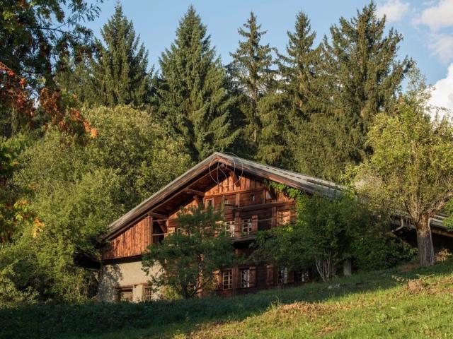MEGEVE FERME D'EXCEPTION RENOVEE SKI IN/SKI OUT
