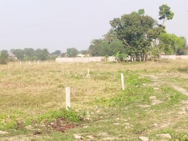 Mehuwala, Dehradun Center 1292 Sq.Ft. Plot in Mehuwala Dehradun Listing ID: #10295