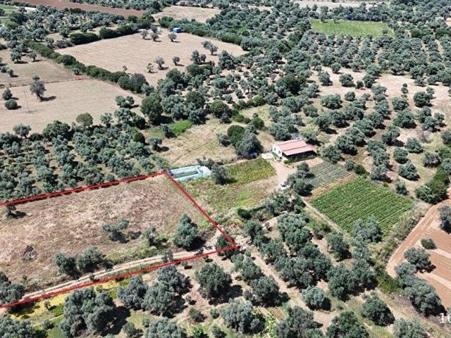 MEHMET YAZICI'DAN KARADOĞAN'DA 2880M2 SATILIK ARSA