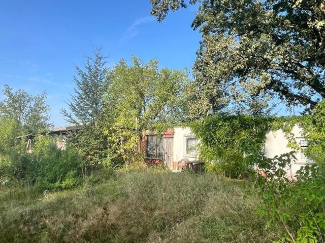 Mehr als ein Freizeitgrundstück – Ihr Rückzugsort am Stadtrand von Jessen
