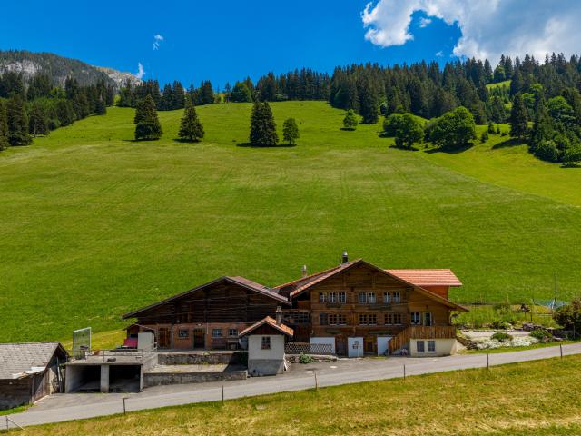 Mehrfamilien Chalet mit 3 Wohnungen und idyllischer Bergsicht