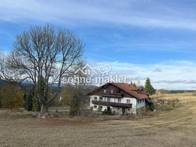 Mehrfamilienhaus mit 4 Appartements in ruhiger Lage mit Grünfläche
