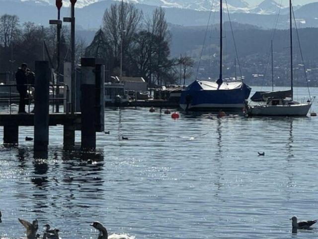 Mehrfamilienhaus in guter Lage mit Potential