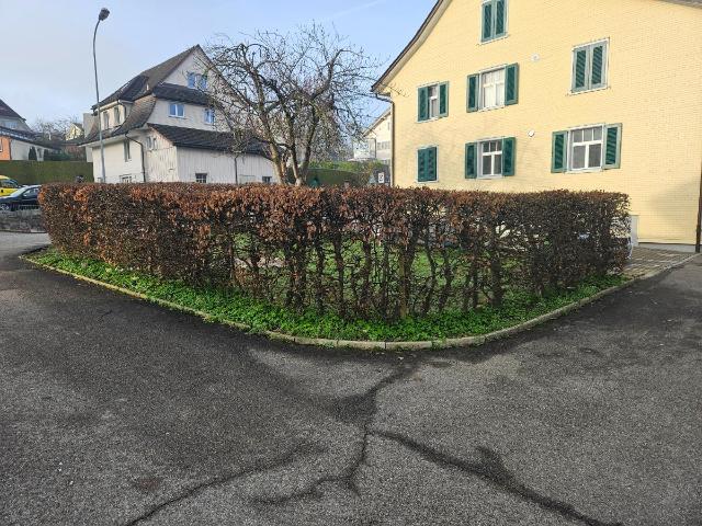 Mehrfamilienhaus