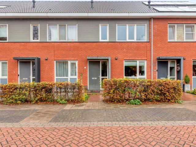 Meidoorn, Millingen aan de Rijn, Nederland