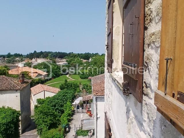 Meilhan sur Garonne Vente Propriété/château 47