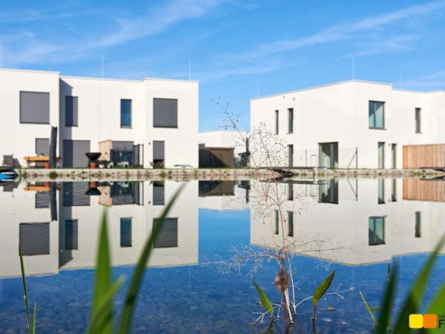 Mein Haus am See. Sonnenweiher Grafenwörth. Open House am Fr 1.8 14 bis 17 Uhr