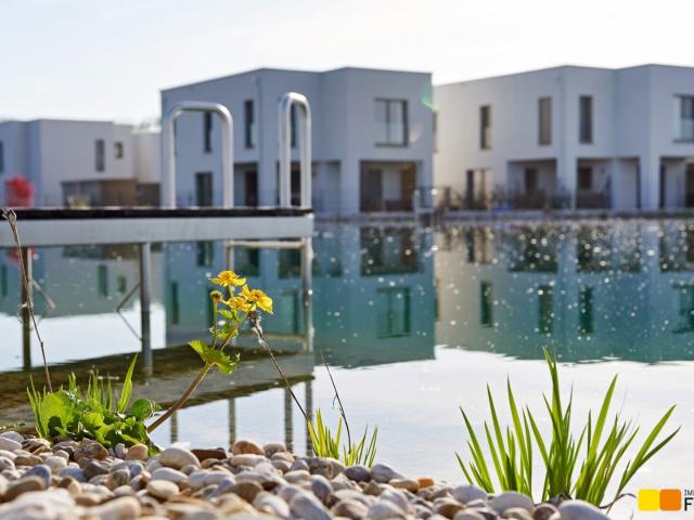 Mein Haus am See. Sonnenweiher Grafenwörth. Open House am Fr 1.8 14 bis 17 Uhr