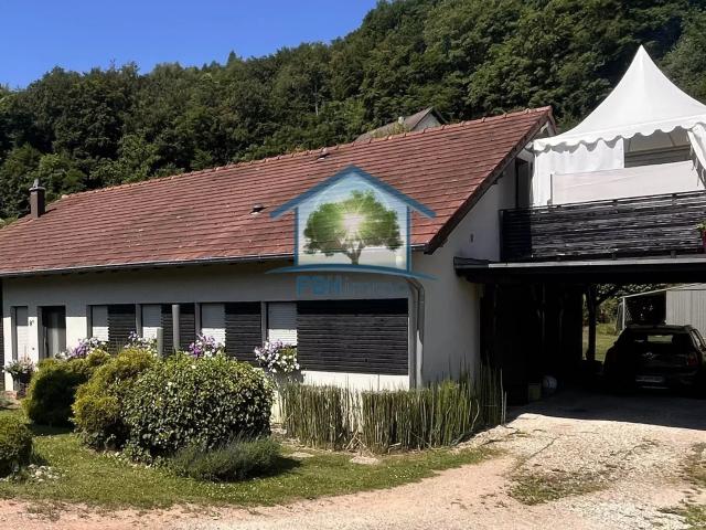 MEISENTHAL 57 Ensemble immobilier maison + 4 lodges 248,56 m² au total sur 27,30 ares