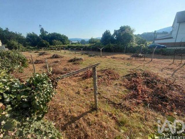 Melgaco Viana Do Castelo 103933650