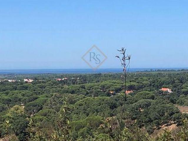 Melides Setúbal 90202280