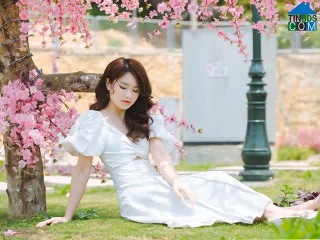 Melory Linh Đàm