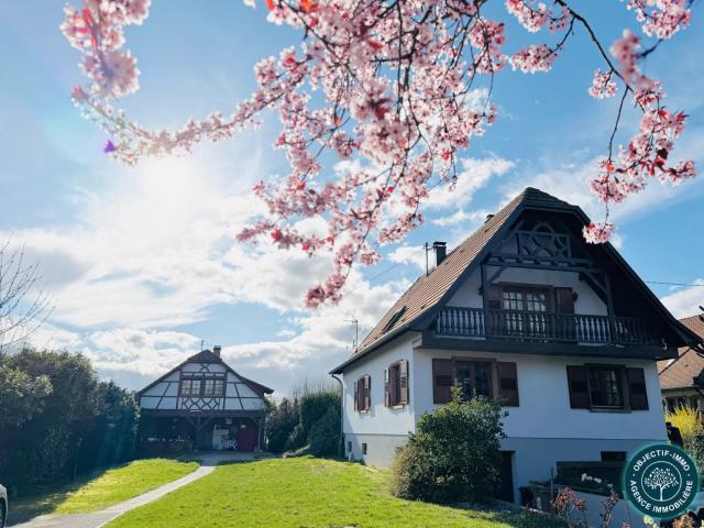 MELSHEIM | Propriété comprenant 2 HABITATIONS sur env. 30 ar