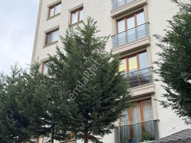 Mertcan'dan Şeyhli Mah. Caddeye 1dk İskanlı Ara Kat 2+1 Daire