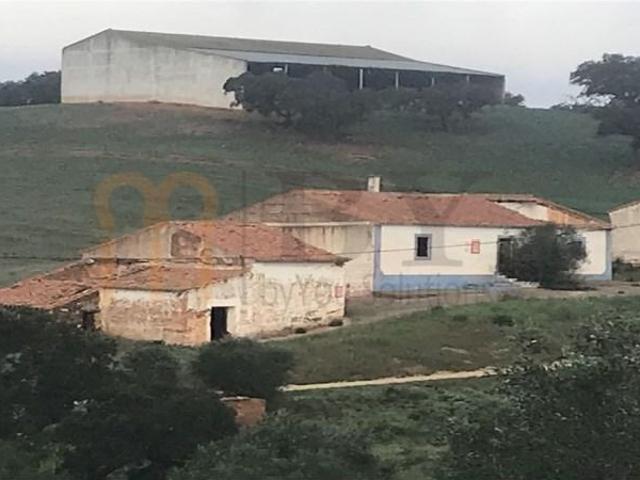 Mértola Mértola 104491650