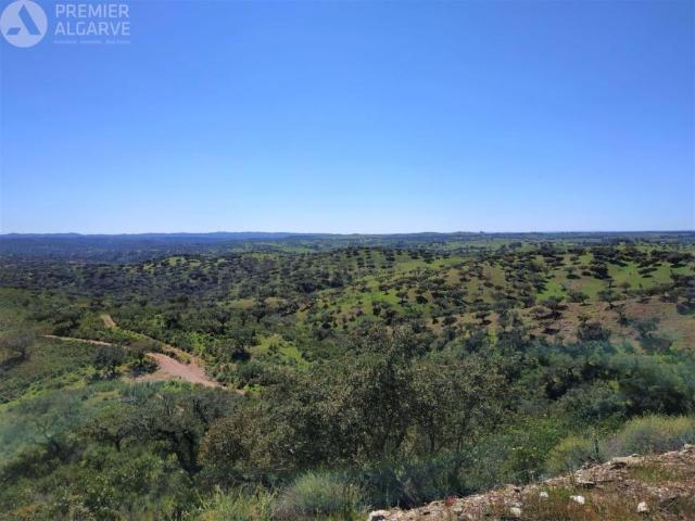 Mértola Beja LS100625902