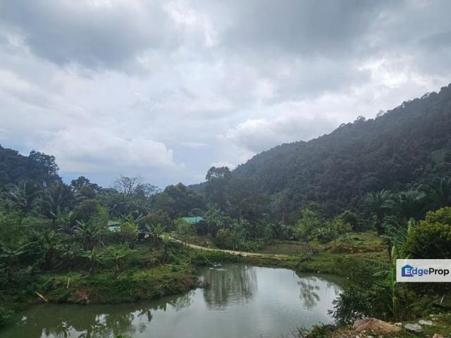 Meru