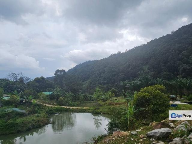 Meru