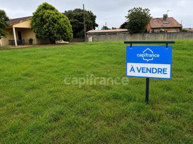 Merville Vente Terrain 31