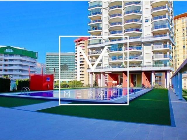 MERAKI vende oportunidad para invertir!