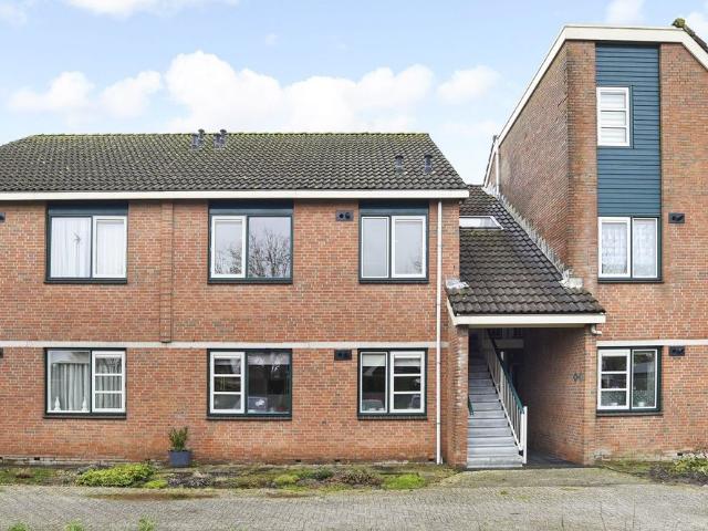 Merel 16