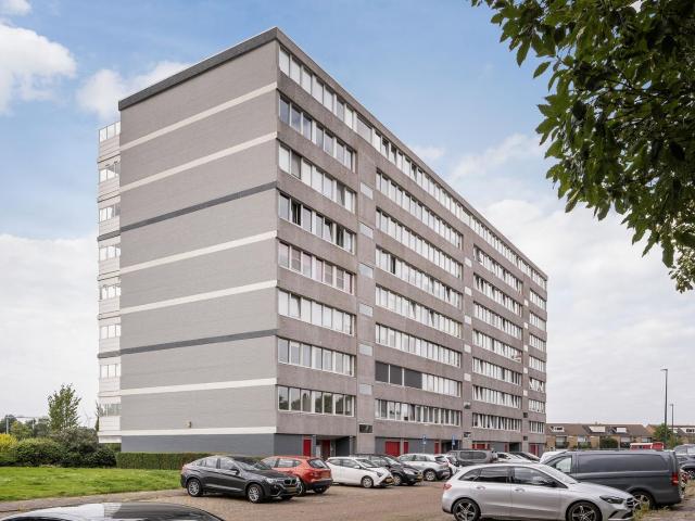 Merellaan, 313, 3145EL, Maassluis, Zuid Holland 3145EL