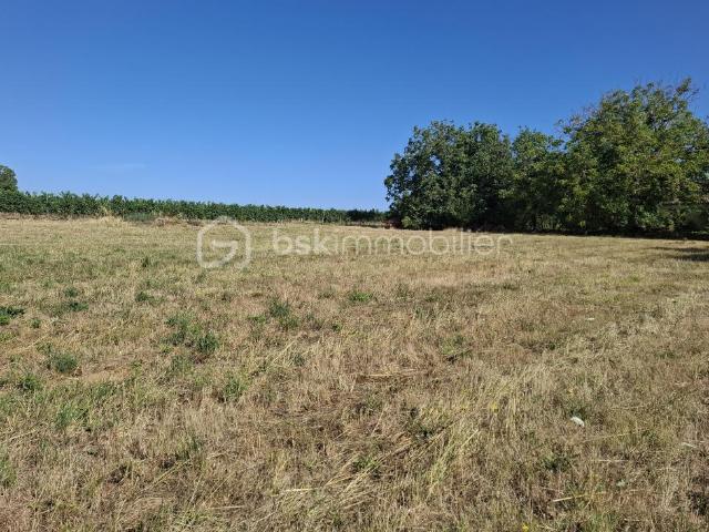 Mérignas Vente Terrain 33