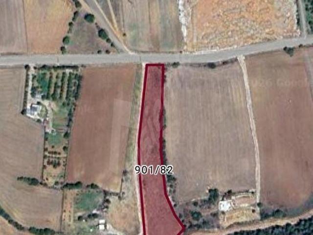 MERKEZ EMLAKTAN SATILIK SAZAKTA 6 DÖNÜM TARLA