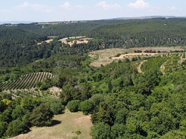 merkezi konum da köy içi fırsat arsa