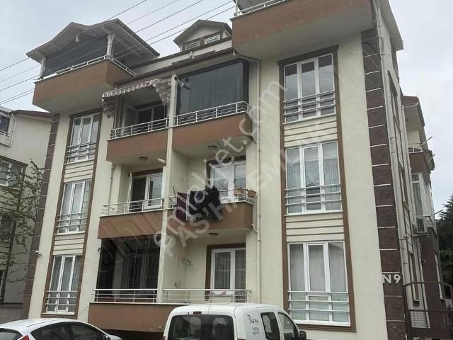 Merkezi Konum 4+1