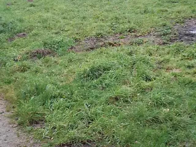 Merlevenez 56700 Achat / Vente terrain