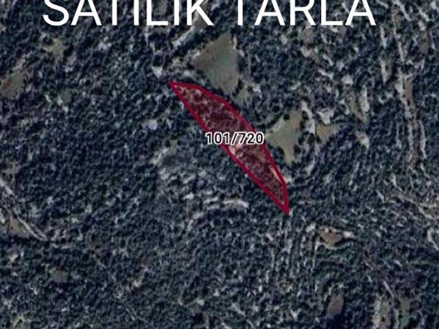 MERSİN ERDEMLİ KARAAHMETLİ'DE 2994 M.KARE SATILIK TARLA