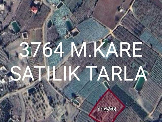 MERSİN SİLİFKE SÖMEK'DE 3764 M.KARE SATILIK TARIM ARAZİSİ