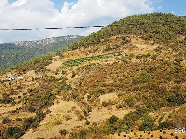 Mersin Anamur Anıtlı Yatırıma Uygun Satılık Tarla