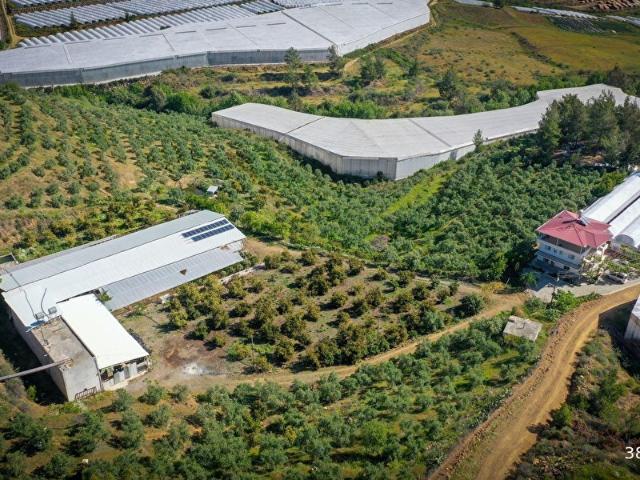 Mersin Anamur Köprübaşı Satılık Bahçe ve Ev