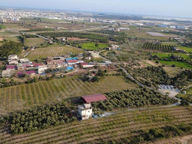 Mersin Akdeniz Bağlarbaşı'nda Tarsus Merkeze Yakın Manzaralı Satılık 7578 M Nektarin Bahçesi
