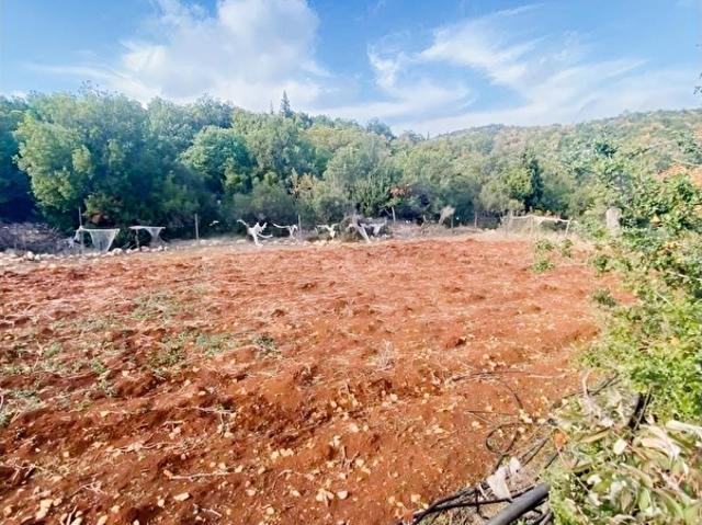 Mersin Erdemli Küstüllü Mahallesi