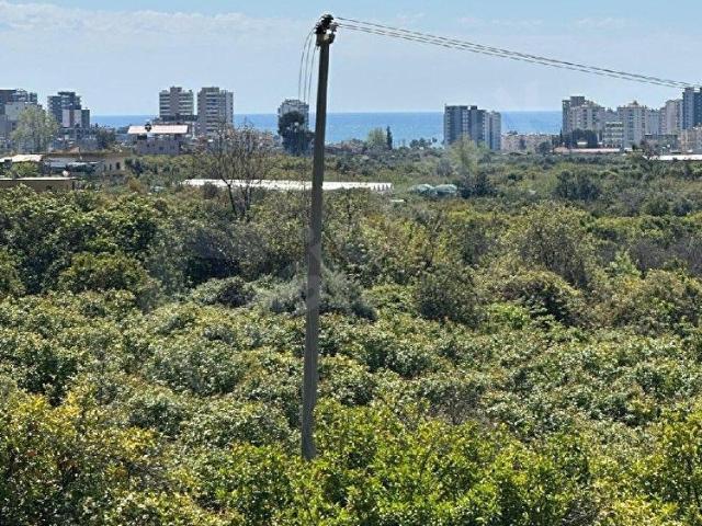 mersin mezitli tece satılık limon bahçesi ev