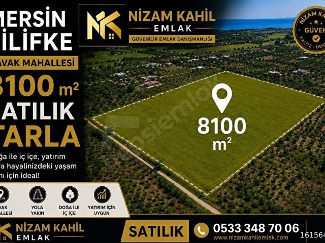 Mersin Silifke Kavakta Kaçırılmayacak 8.100 m Yatırımlık Arazi