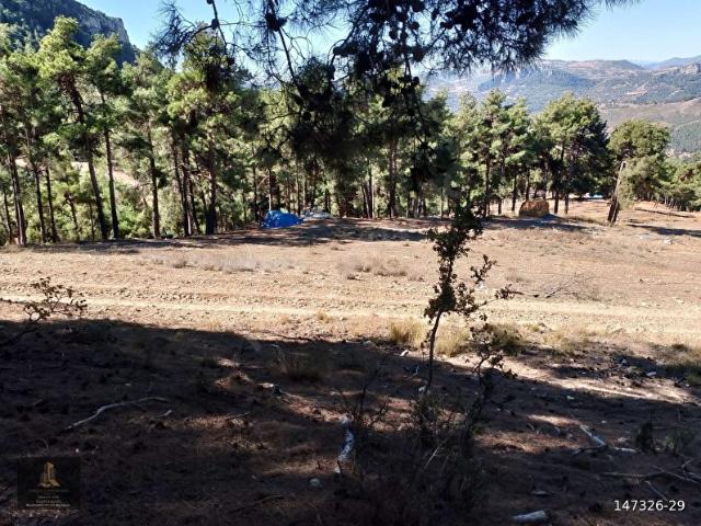 mersin Tarsus sandal mahallesi saltık tarla