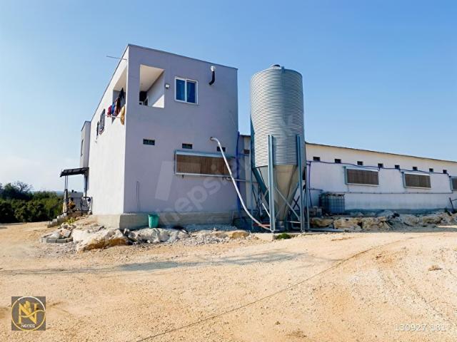 Mersin Tarsus'ta Tam Donanımlı Tavuk Çiftliği
