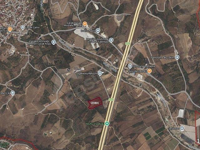 Mersin Yenişehir Çavakta Yatırımlık Portakal Bahçesi