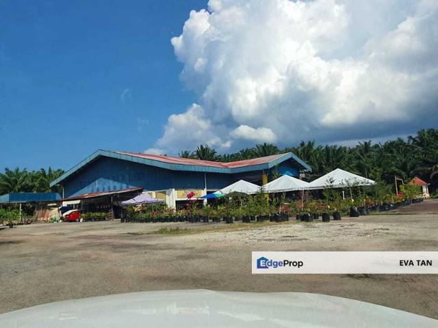 Mersing Commercial Land