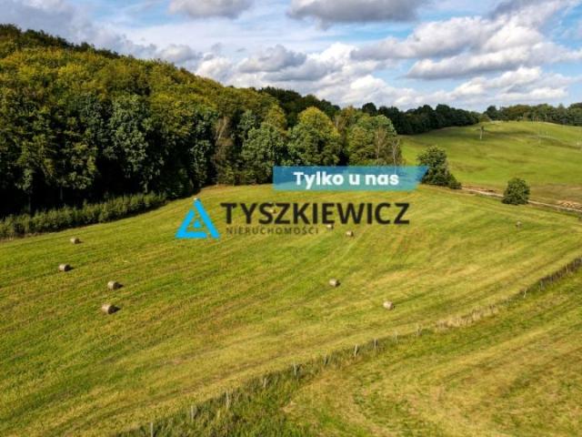 Mestwina 1 387 m², Trzepowo