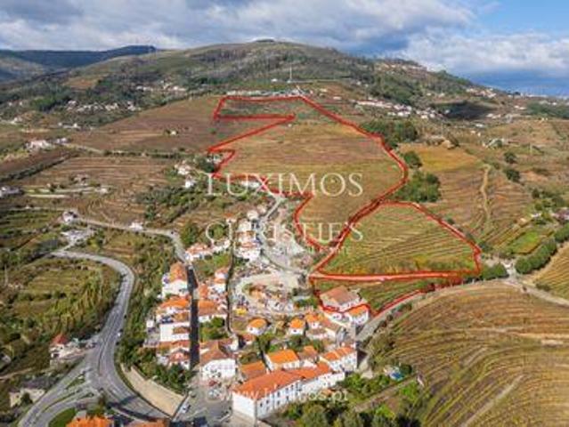 Mesão Frio Santo André VILA REAL 97100915