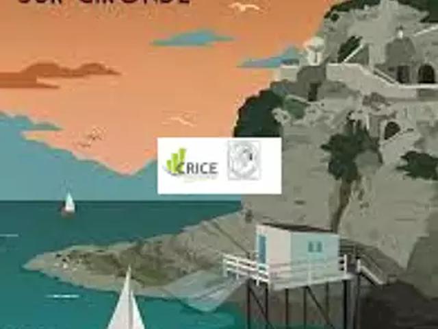 Meschers sur Gironde 17132 Achat / Vente divers