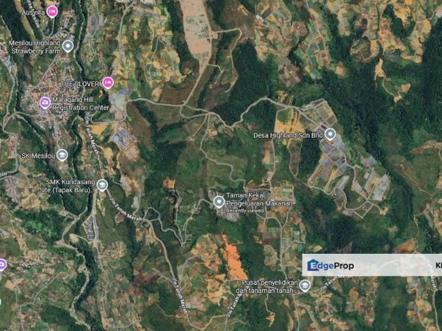 Mesilou 15 Acre CL Land | Kundasang | Panoramic Mount Kinabalu View | Near Desa Dairy Farm & Ausvilla
