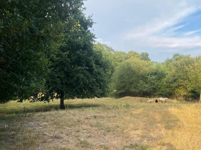 Messac Vente Terrain 35