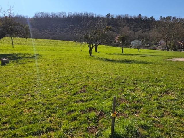 Messia sur Sorne Vente Terrain 39